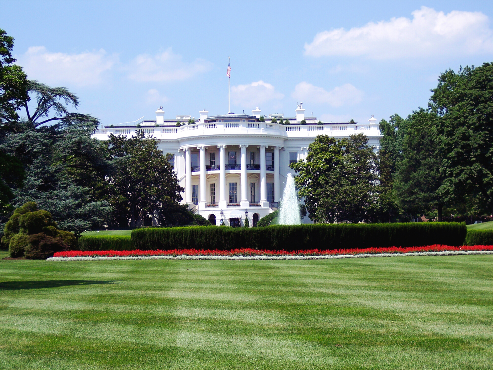 Image of the White House with a blue sky and red and white flowers in the forefront.