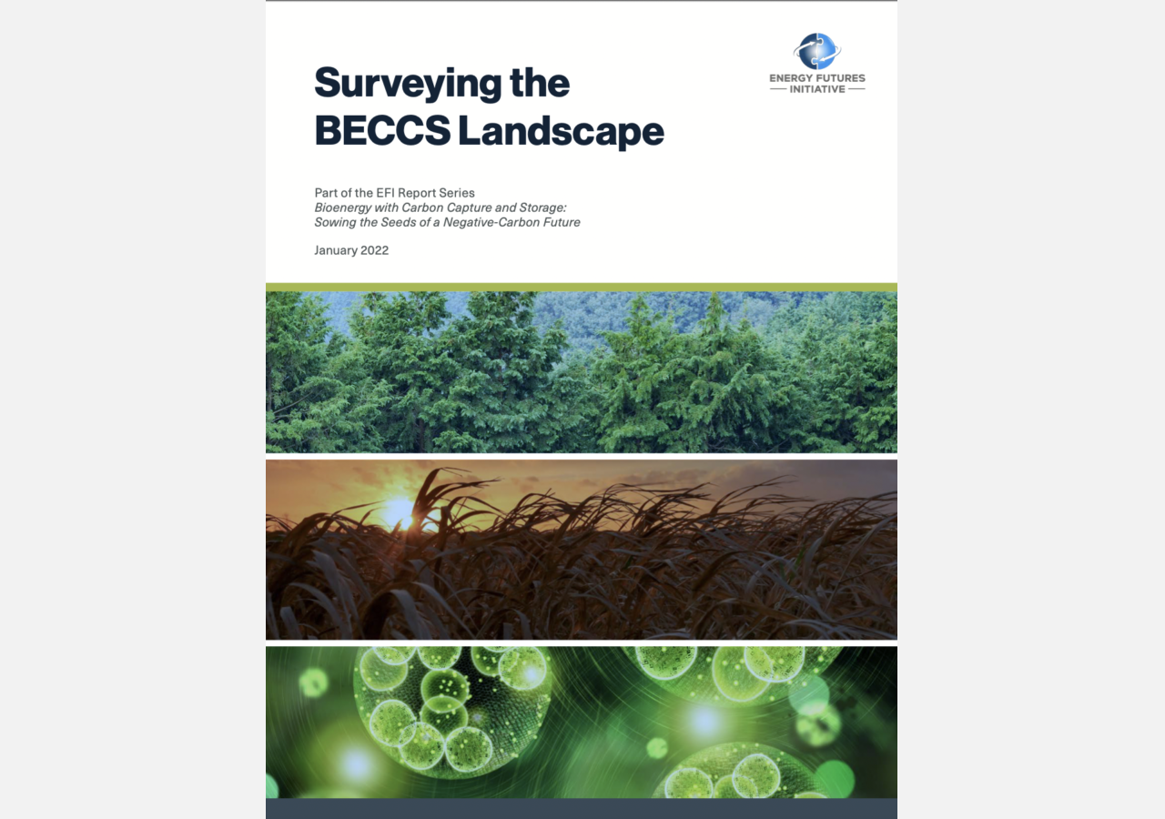 Cover of Surveying the BECCS Landscape with a photo of trees, an agricultural field, and green cells.