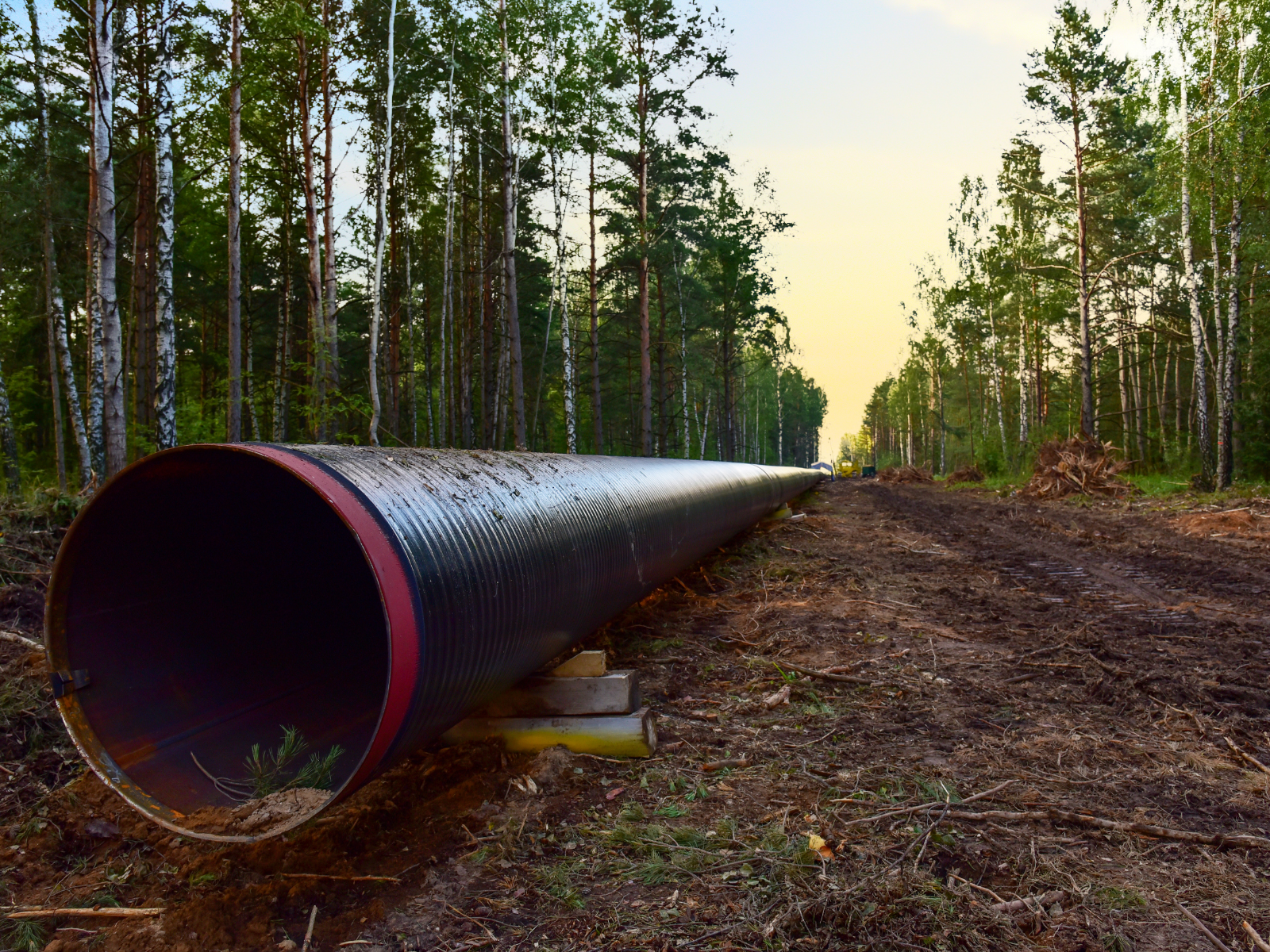 Image of a natural gas pipeline between trees.