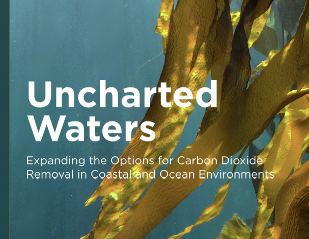 Image of Uncharted Waters report cover.